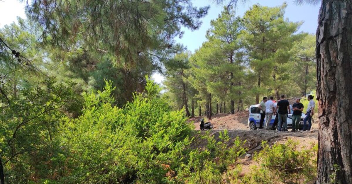 Terk edilmiş bebek, ormanda bulundu